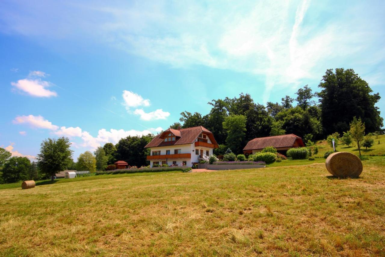 Villa Katarina Mokronog Extérieur photo