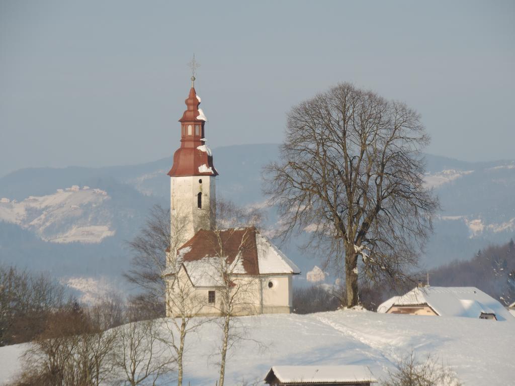 Villa Katarina Mokronog Extérieur photo