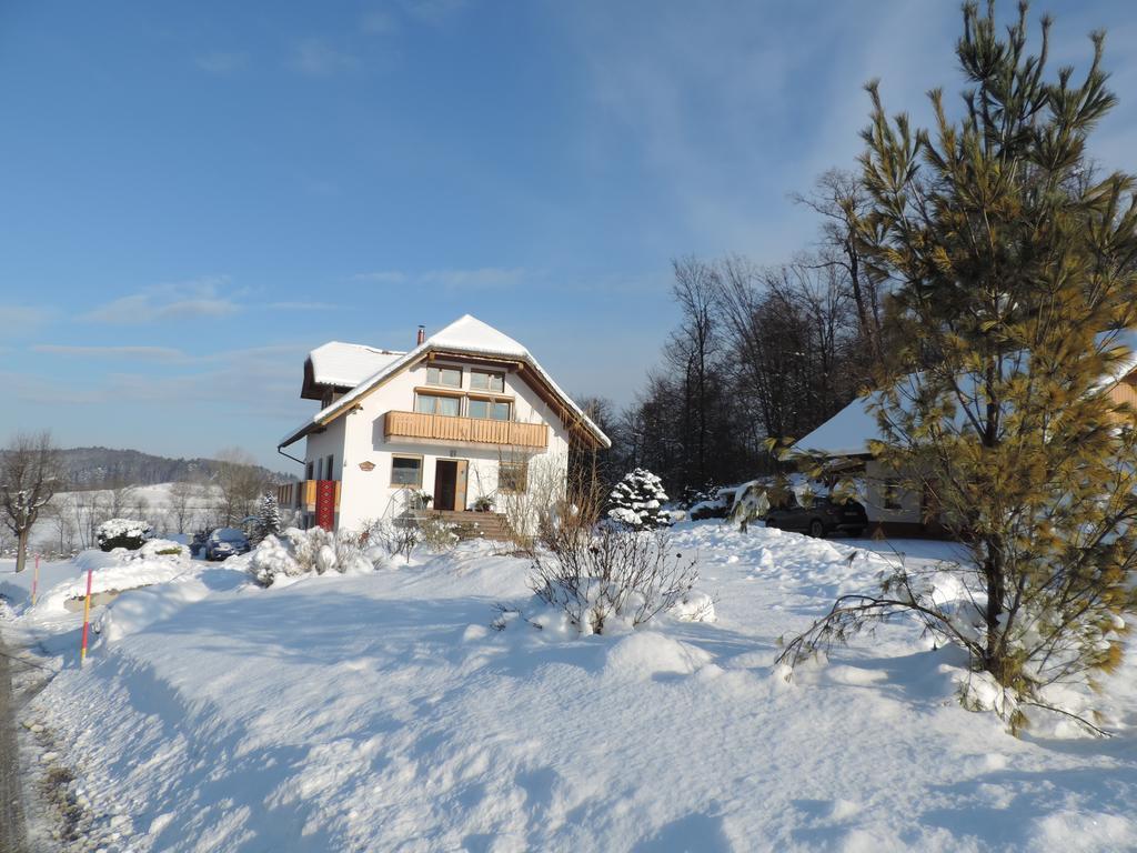 Villa Katarina Mokronog Extérieur photo